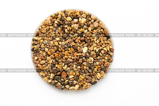 sample of stone chips, pavements for footpaths and sidewalks. Стоковое фото, фотограф Скрипачев Антон / Фотобанк Лори