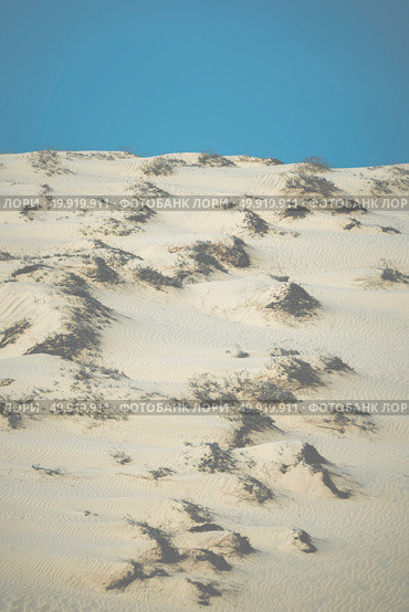 sand dunes in muine- phanthiet province - Vietnam. Стоковое фото, агентство Ingram Publishing / Фотобанк Лори