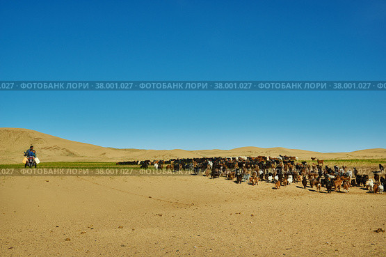 Sands Mongol Els (2019 год). Стоковое фото, фотограф Александр Fanfo / Фотобанк Лори
