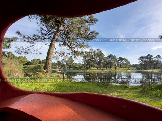 Scenic view of Bucaquinho Natural Park, Ovar, north of Portugal. Стоковое фото, агентство Ingram Publishing / Фотобанк Лори