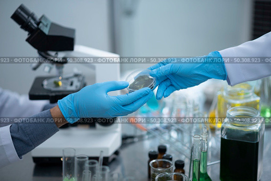 scientist testing his experiment in a science laboratory, chemical substances and equipment. Bio technology concept. Стоковое фото, агентство Ingram Publishing / Фотобанк Лори