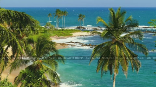 Sea waves on tropical beach and palms (2023 год). Стоковое видео, видеограф Михаил Коханчиков / Фотобанк Лори