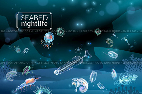 Seabed nightlife underwater scene with reef seaweed coral and plankton characters cartoon vector illustration. Seabed Cartoon Background. Стоковая иллюстрация, агентство Ingram Publishing / Фотобанк Лори