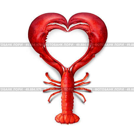 Seafood Love concept as a boiled lobster shaped as a heart symbol as a metaphor for fresh sea food from the ocean or promoting a fish dinner or marketing a restaurant menu. Стоковое фото, агентство Ingram Publishing / Фотобанк Лори