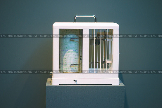 Seismological device for measuring earthquakes. Seismograph records an earthquake on the sheet of measuring paper. Earthquake wave on graph paper. Стоковое фото, фотограф Igor Tichonow / Фотобанк Лори