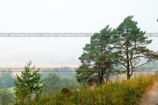 Село Хатунь. Ступинский район. Московская область (2010 год). Стоковое фото, фотограф E. O. / Фотобанк Лори