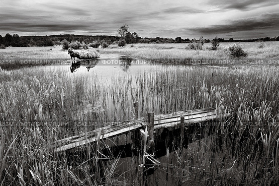 Сельский пейзаж (2008 год). Редакционное фото, фотограф Владимир Блинов / Фотобанк Лори