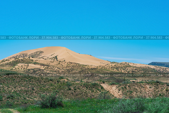 Semi-arid landscape in the vicinity of the Sarykum sand dune (2022 год). Редакционное фото, фотограф Евгений Харитонов / Фотобанк Лори