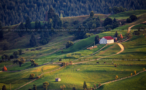 September rural scene in Carpathian mountains. Authentic village and fence. Стоковое фото, агентство Ingram Publishing / Фотобанк Лори