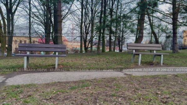 Serene and Inviting Park Benches Surrounded by Beautiful Nature and Lush Greenery. Стоковое видео, видеограф Vladimir Vintonjak / Фотобанк Лори