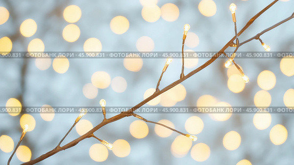 Serene winter vibes with glistening vines and soft glowing lights. Стоковое AI-изображение, AI-художник ФотоИнтеллект / Фотобанк Лори