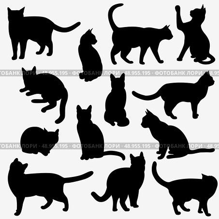 Set of cats Silhouettes on a white background. Стоковая иллюстрация, агентство Ingram Publishing / Фотобанк Лори