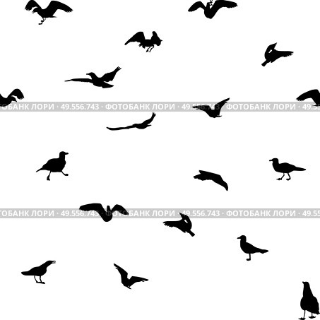 Set of different gull silhouettes. Flying, eating, going, taking off. Seamless pattern. Vector Illustrator. Set of different gull silhouettes. Flying, eating, going, taking off. Seamless pattern. Стоковая иллюстрация, агентство Ingram Publishing / Фотобанк Лори