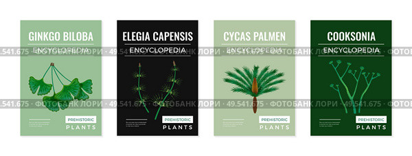 Set of four isolated vertical posters with colourful encyclopedia images of prehistoric plants and editable text vector illustration. Стоковая иллюстрация, агентство Ingram Publishing / Фотобанк Лори