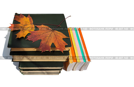 Several volumes of old thick books are stacked. Top are yellow maple leaves. Nearby are small thin books with colorful covers. Books are isolated on a white background. Clean place for text. Стоковое фото, фотограф Бузмакова Светлана / Фотобанк Лори