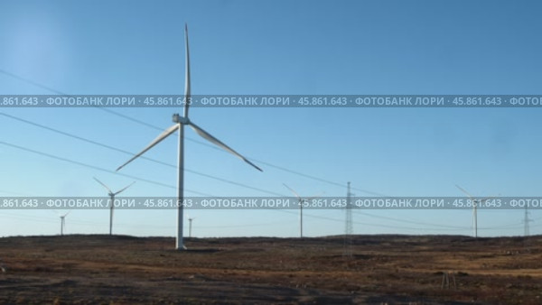 Several windmills in the field actively extract renewable energy from the wind and convert it into electricity. Стоковое видео, видеограф Strunov David / Фотобанк Лори