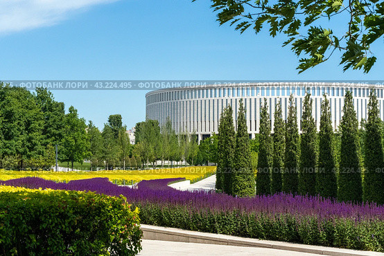 Шалфей в парке Галицкого, Краснодар (2024 год). Стоковое фото, фотограф Елена Букия / Фотобанк Лори