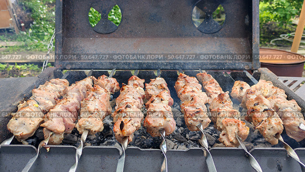 Шашлык. Мясо. Еда. Кухня. Стоковое фото, фотограф Владимир Зыбин / Фотобанк Лори