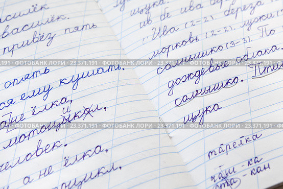 Школьная пропись с написанными словами и предложениями на уроке чистописания. Стоковое фото, фотограф Кекяляйнен Андрей / Фотобанк Лори