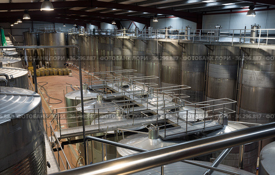 Shop with processing cisterns in wine plant. Стоковое фото, фотограф Яков Филимонов / Фотобанк Лори