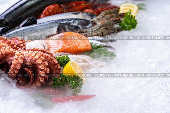 Side view of variety of fresh luxury seafood, Lobster salmon mackerel crayfish prawn octopus mussel and scallop, on ice background with icy smoke in seafood market.  Photo With Copy space. Стоковое фото, агентство Ingram Publishing / Фотобанк Лори