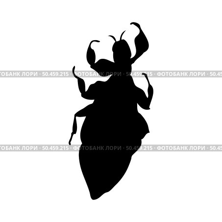Silhouette of mantis. Mantis close-up detailed. Vector mantis icon on white background. Стоковая иллюстрация, агентство Ingram Publishing / Фотобанк Лори