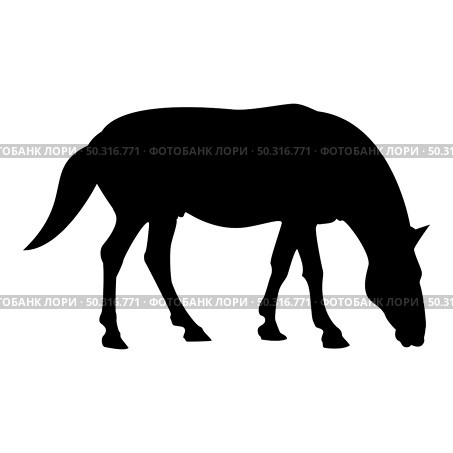 Silhouette steed horse equestrian equine stallion thoroughbred mustang black color vector illustration flat style simple image. Silhouette steed horse equestrian equine stallion thoroughbred mustang black color vector illustration flat style image. Стоковая иллюстрация, агентство Ingram Publishing / Фотобанк Лори