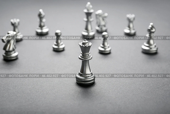 Silver queen on grey background. Стоковое фото, фотограф Pixel_shot / Фотобанк Лори