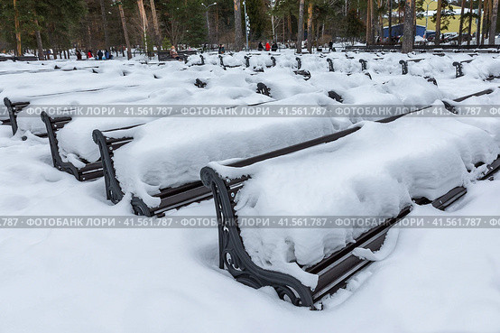 Скамейки в городском парке покрылись снегом после снегопада. Стоковое фото, фотограф Александр Бушков / Фотобанк Лори