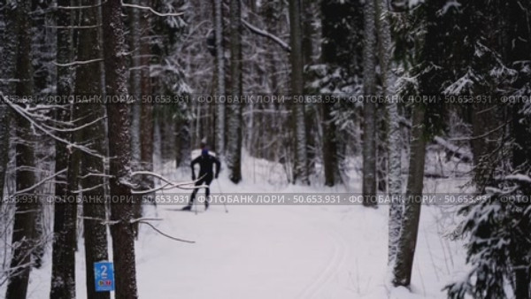 Skiers skiing in the park. Стоковое видео, видеограф Igor Skripachev / Фотобанк Лори