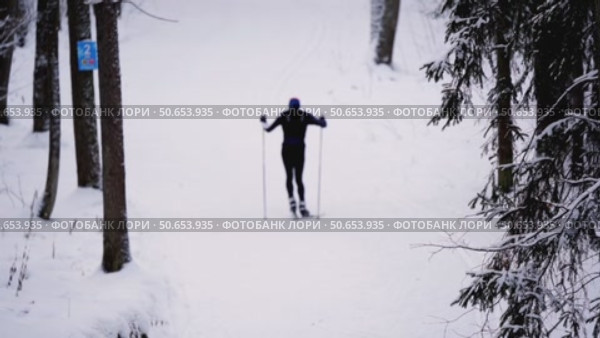 Skiers skiing in the park. Стоковое видео, видеограф Igor Skripachev / Фотобанк Лори