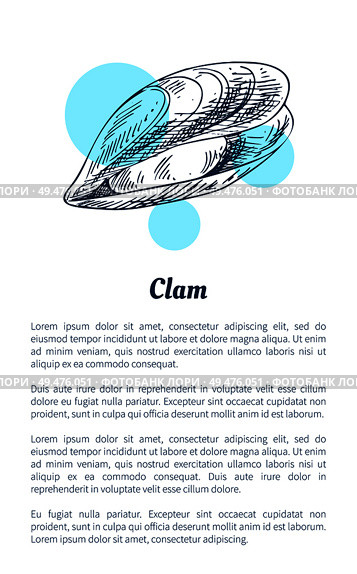 Small clam marine creatures as seafood in sketch style flat vector illustration. Nautical information poster on white and blue spots with text sample.. Small clam Marine Creature Poster in Sketch Style. Стоковая иллюстрация, агентство Ingram Publishing / Фотобанк Лори