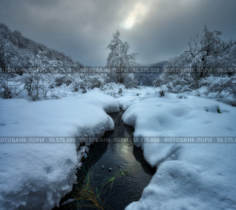 Small river winding through a snowy valley, snow-covered trees and bushes on cold winter day, cloudy sky. Winter fairytale in Plitvice Lakes, Croatia. Landscape with water stream, snow, forest in snow. Стоковое фото, агентство Ingram Publishing / Фотобанк Лори
