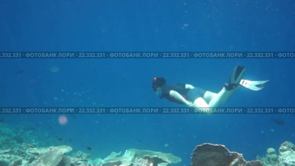 Снорклинг. Стоковое видео, видеограф Андрей Армягов / Фотобанк Лори