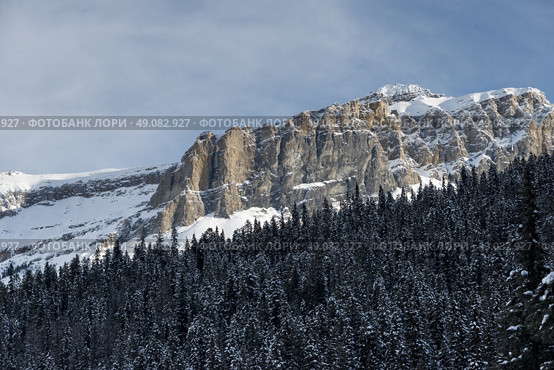 Snow covered trees with mountain in winter, Emerald Lake, Field, British Columbia, Canada. Стоковое фото, агентство Ingram Publishing / Фотобанк Лори