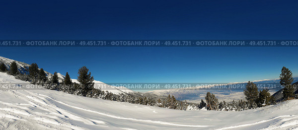 Snow mountains landscape panorama in bulgarian ski resort Bansko, clear blue sky and fir forest. Стоковое фото, агентство Ingram Publishing / Фотобанк Лори