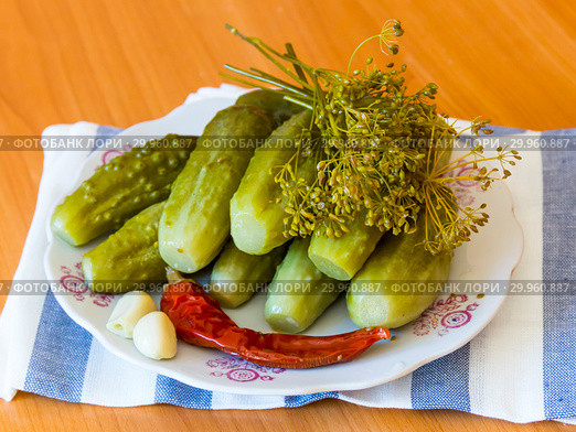 Соленые огурцы, острый перец, укроп и чеснок на тарелке, бочковые. Стоковое фото, фотограф Дудакова / Фотобанк Лори