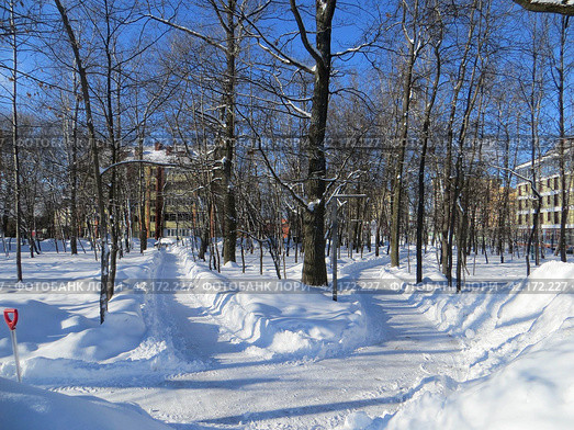Солнечный день зимой.Городской парк покрыт снегом.Расчищенные от снега дорожки идут вдоль аллей парка.В сугробе стоит лопата с красной ручкой.Столбово. Коммунарка. Москва. Россия (2024 год). Редакционное фото, фотограф Мария Фетисова / Фотобанк Лори