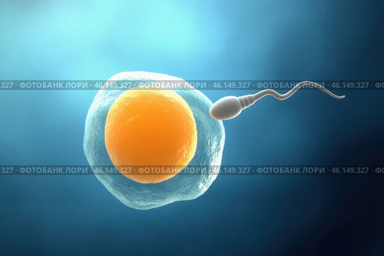 Sperm approaching egg for fertilization. Стоковое AI-изображение, AI-художник Башкирова Анна / Фотобанк Лори