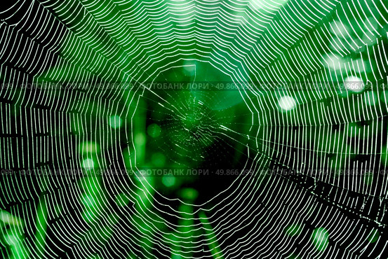 Spider web. Element of design. Стоковое фото, агентство Ingram Publishing / Фотобанк Лори