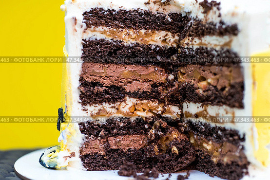Split cake, chocolate cake filling with cream, slice of cake, dessert for tea, birthday party, sponge cake with cream. Стоковое фото, фотограф Photojuli / Фотобанк Лори