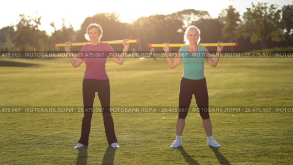 Sporty ladies doing fitness exercise with fit bar. Стоковое видео, видеограф Швец Анастасия / Фотобанк Лори