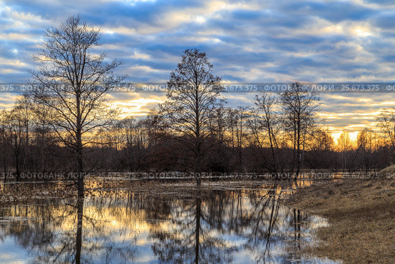 Spring landscape, pour a river flooded trees. Стоковое фото, фотограф Вадим Бочкарев / Фотобанк Лори