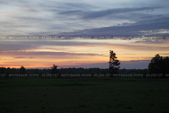 Spring sunset over the field. Стоковое фото, фотограф Andrew_Swarga / Фотобанк Лори