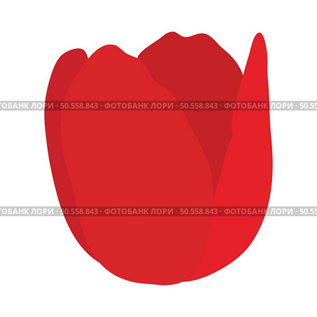 Spring tulip bud element. Ideal for making colorful summer and spring designs. Vector illustration. Стоковая иллюстрация, агентство Ingram Publishing / Фотобанк Лори