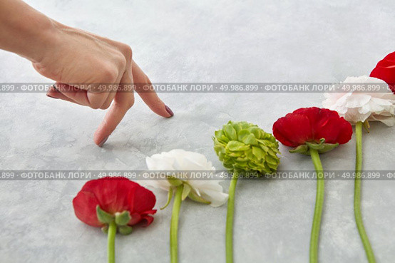 St. Valentine’s Day concept. Gift, fresh flowers of roses and chrysanthemums and a female hand on a gray concrete background. beautiful different flowers on a gray background. Стоковое фото, агентство Ingram Publishing / Фотобанк Лори