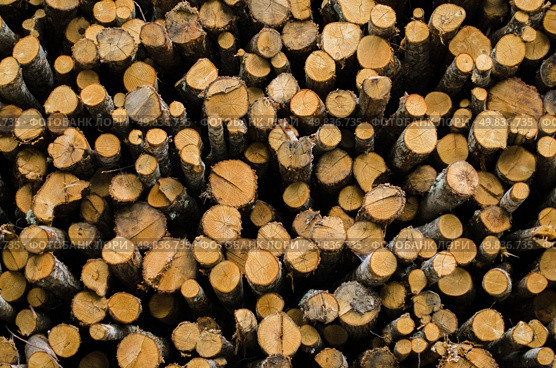 Stack of tree stump for background. Стоковое фото, агентство Ingram Publishing / Фотобанк Лори