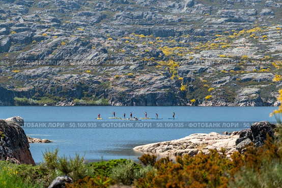 Stand up paddleboarding on lake. Watersport on lake. Tourist outdoor activity at Lagoa Comprida, Serra da Estrela National Park in Portugal. Стоковое фото, агентство Ingram Publishing / Фотобанк Лори