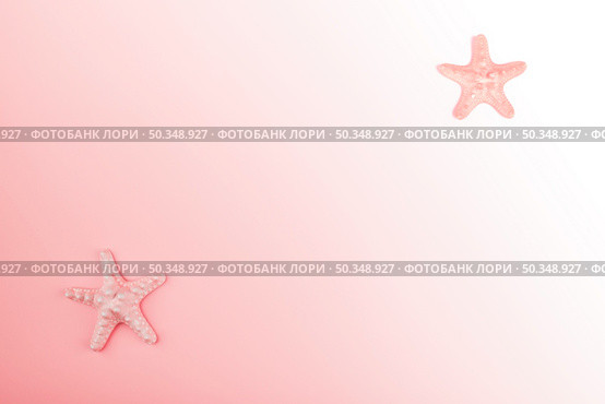 starfish corner pink gradient background. Стоковое фото, агентство Ingram Publishing / Фотобанк Лори