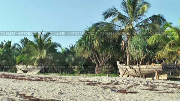Старые деревянные каркасы лодок на пляже на побережье города Dar es Salaam. Танзания. Африка (2014 год). Стоковое видео, видеограф Кекяляйнен Андрей / Фотобанк Лори